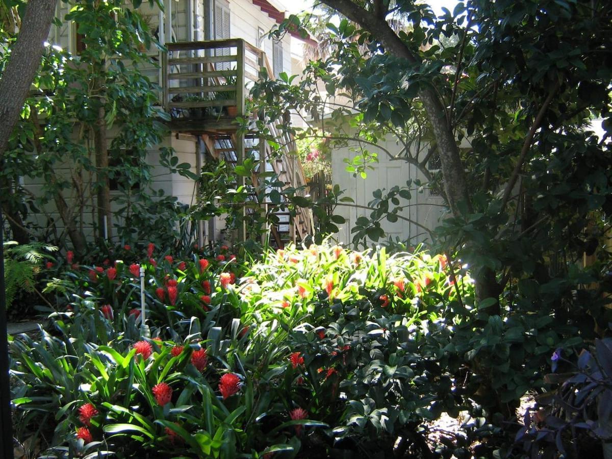 The Treehouse Διαμέρισμα Αγία Πετρούπολη Εξωτερικό φωτογραφία
